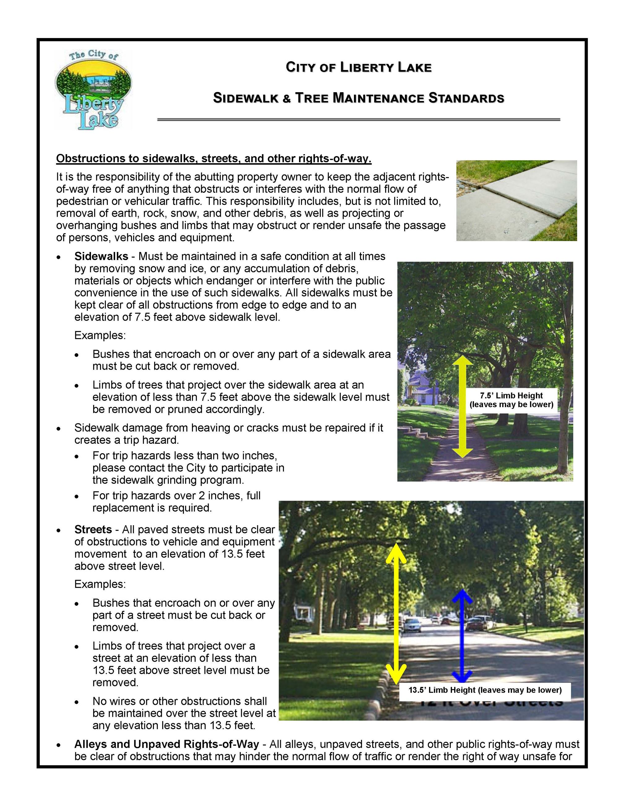 SIDEWALK  TREE MAINTENANCE FLYER_Page_1
