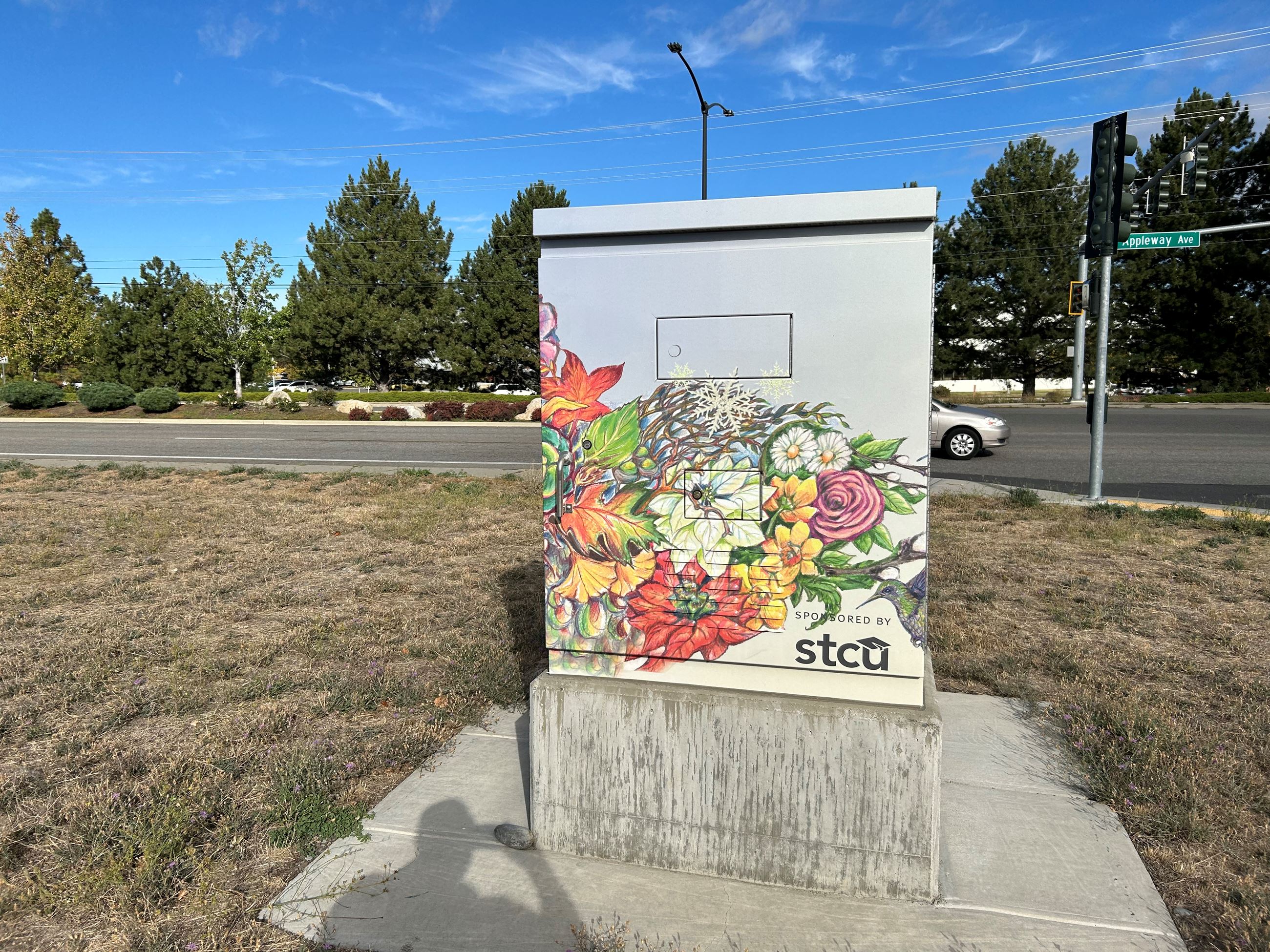 Image of a Box Wrap of Mother Earth Art