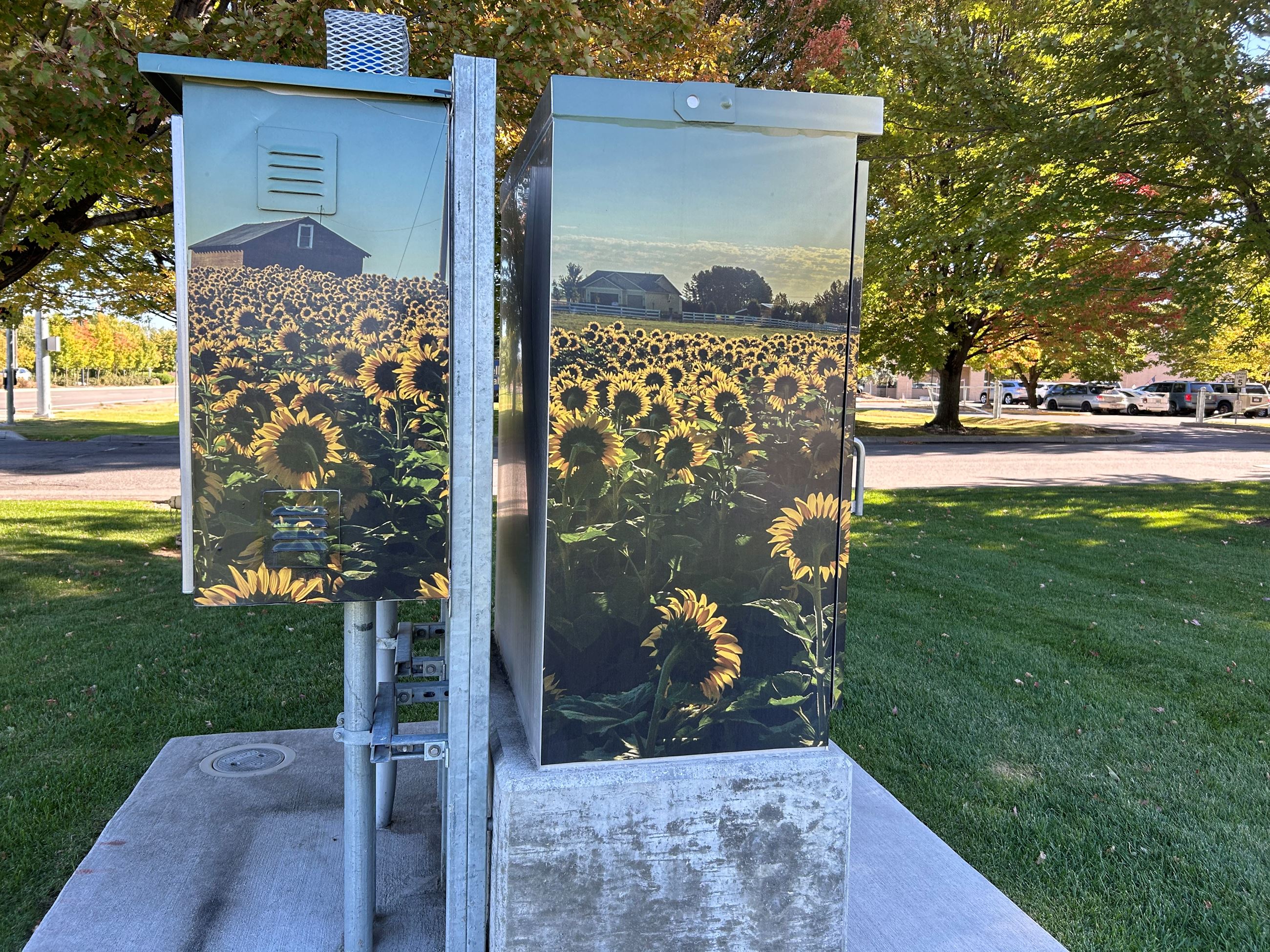 Image Sunflower Fields wrapped around a Signal Box.