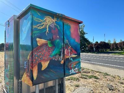 Image of Signal Box Wrap of Person Riding a Salmon